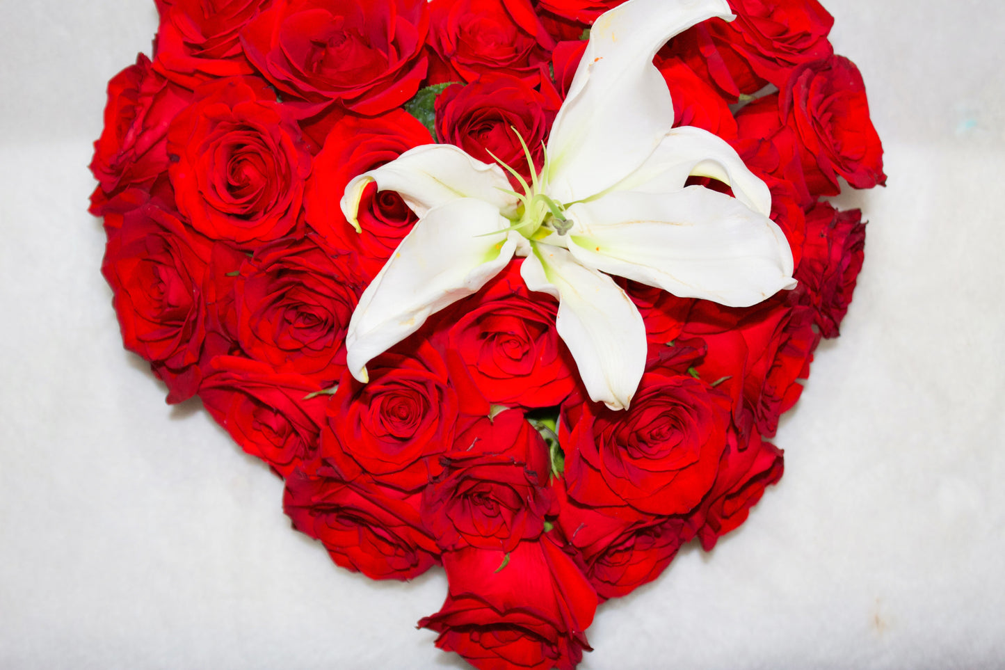Coeur de Roses Rouges & Lys Blanc