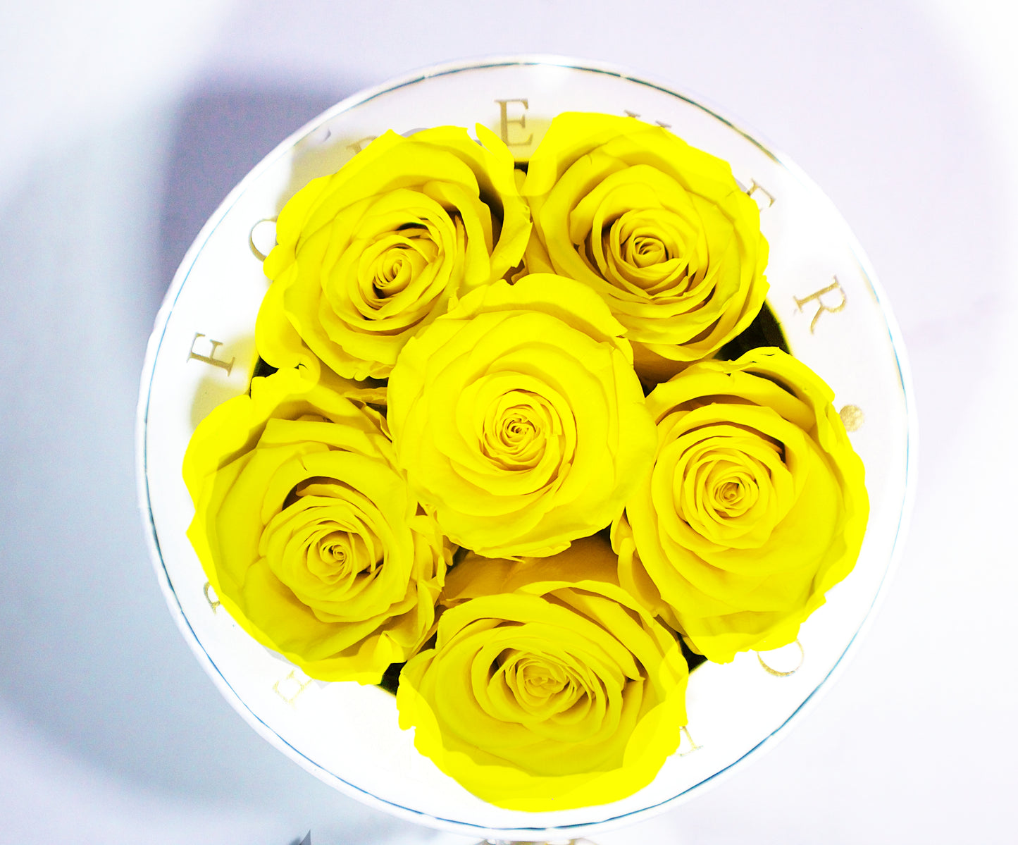 Roses_jaunes_preservées