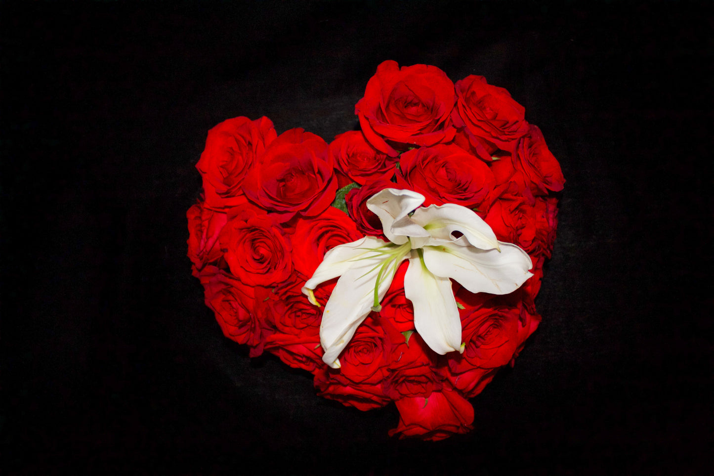 Coeur de Roses Rouges & Lys Blanc